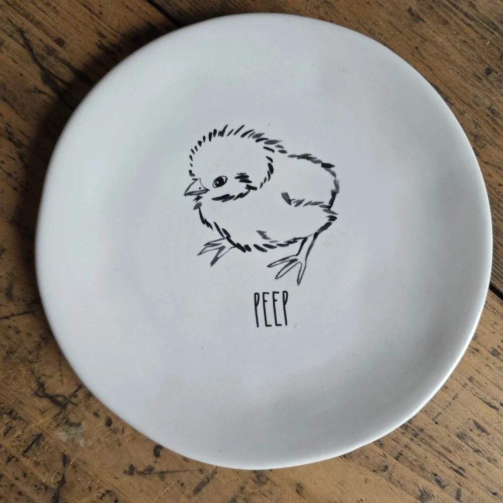 RAE DUNN Easter Appetizer Plates Set of 4 Bunny Chick Egg Carrot White‎ 6in Dish